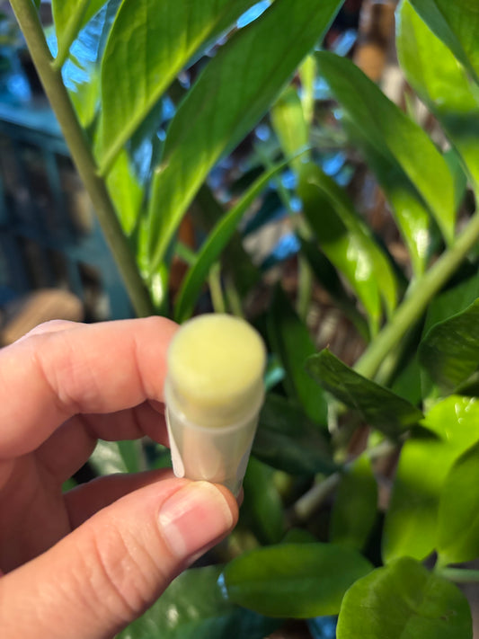 CBD Lip Balm