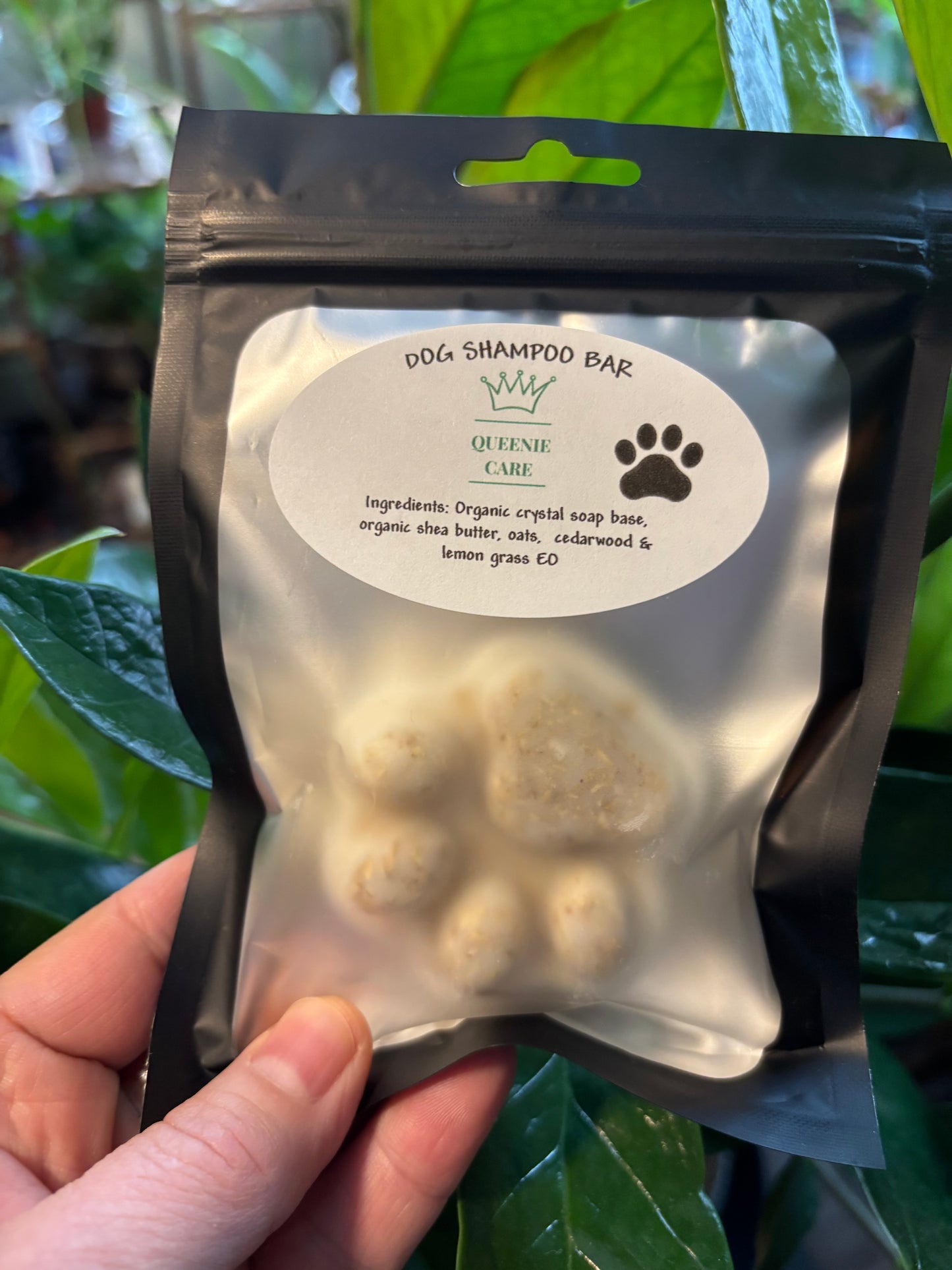 Dog Shampoo
